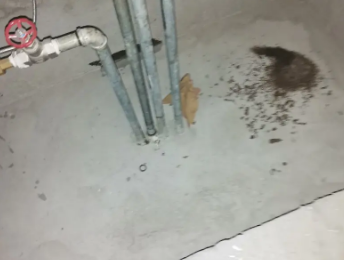 瓜州卫生间测漏水价格明细