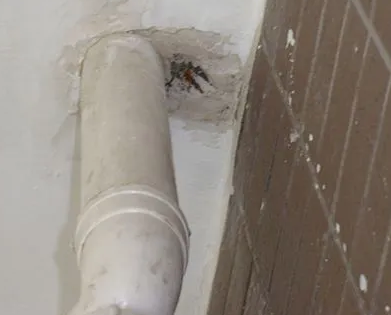 瓜州漏水检测哪家好